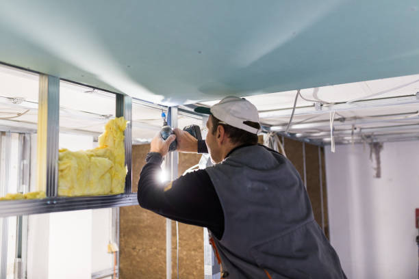 Best Insulation Installation Services in Manito, IL